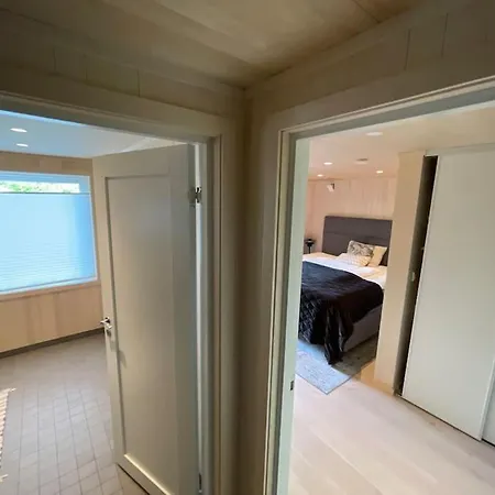 Stor Enebolig Med Hoy Standard