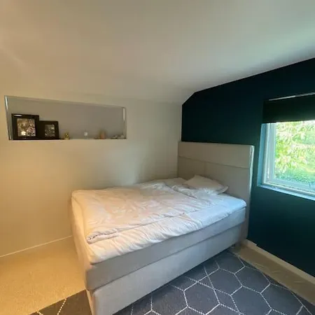 Stor Enebolig Med Hoy Standard * Tønsberg